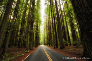 Not the road in which I was almost hit, but another example of someone standing in the road to take this picture